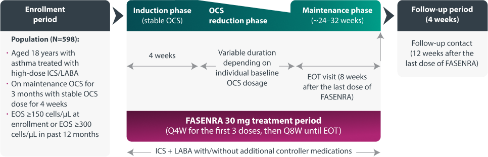 Flow Chart Representing PONENTE Phase 3b Oral Corticosteroid Reductions Trial