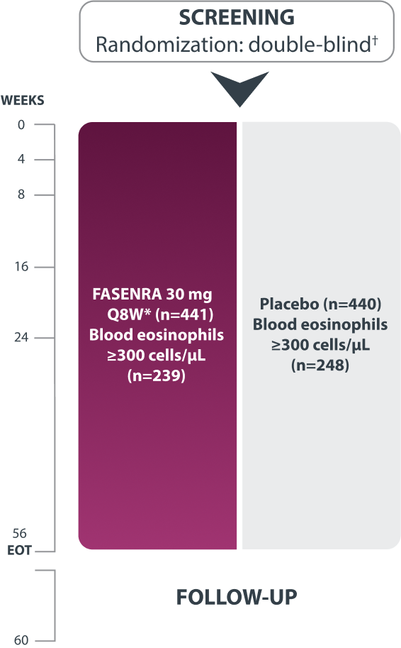 Flow Chart Representing CALIMA Study Design