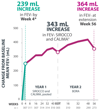 Graph Representing Lung Function Improvement Sustained Through 2 Years