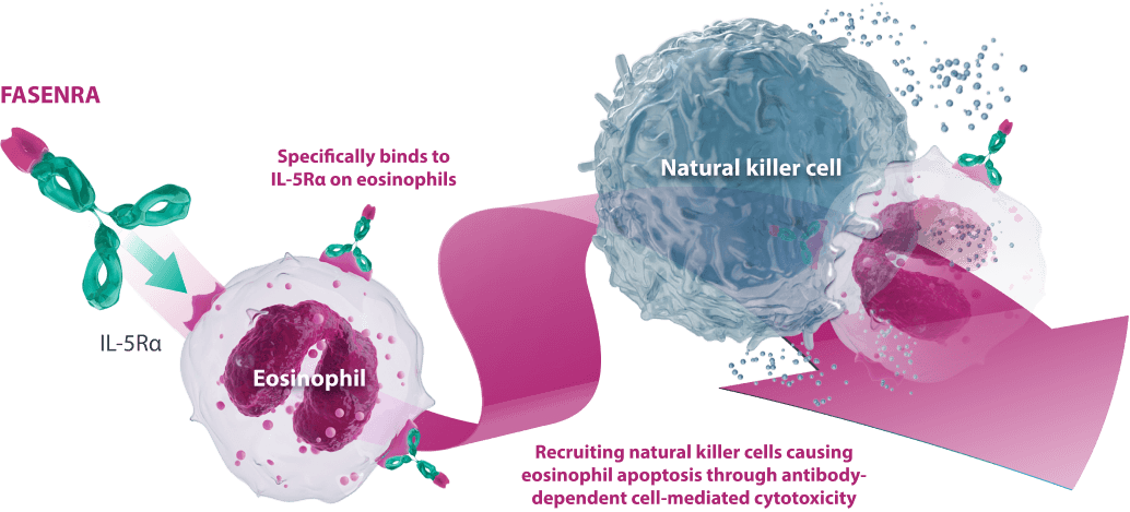 Diagram Illustrating the Mechanism of Action of Benralizumab in Asthma